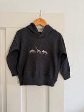 Load image into Gallery viewer, “Dino Trio” Embroidered Fleece Hoodie