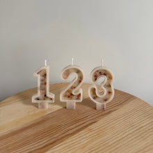 Load image into Gallery viewer, Number Birthday Candles - Autumn Incapsulated