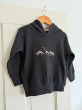 Load image into Gallery viewer, “Dino Trio” Embroidered Fleece Hoodie
