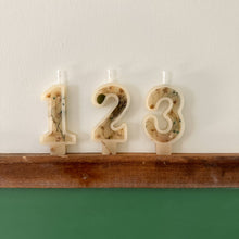 Load image into Gallery viewer, Number Birthday Candles - Winter Incapsulated
