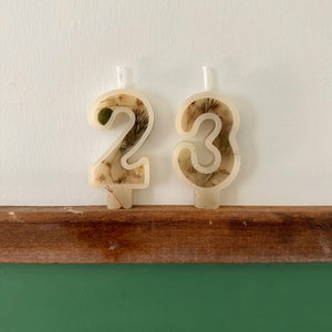 Number Birthday Candles - Winter Incapsulated