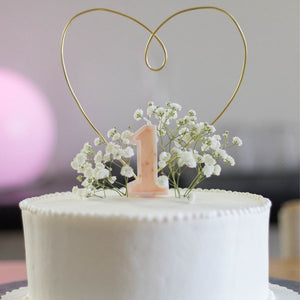 Number Birthday Candles - Blush (with dried nature)